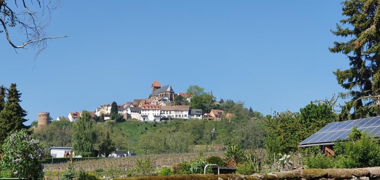 Landgasthaus "Zum Engel" Ξενοδοχείο Neuleiningen Εξωτερικό φωτογραφία