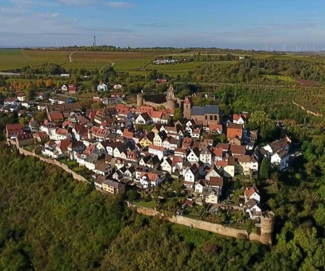 Landgasthaus "Zum Engel" Ξενοδοχείο Neuleiningen Εξωτερικό φωτογραφία